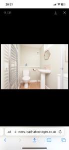 a white bathroom with a toilet and a sink at Snowdrop Cottage in Totnes +2 photos