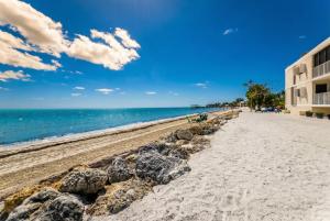 a sandy beach with rocks and the ocean at Stylish Angler's Retreat, Poolside & Ocean Access #16 in Marathon