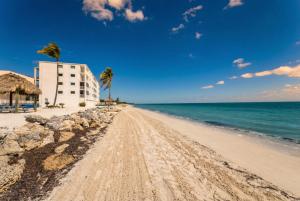 a beach with a building and palm trees and the ocean at Stylish Angler's Retreat, Poolside & Ocean Access #16 in Marathon