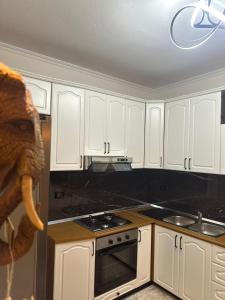 a kitchen with white cabinets and a toy dinosaur in it at Iceland Apartment in Tirana