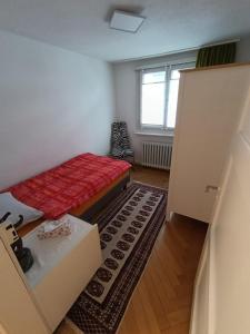 a small room with a bed and a rug at Apartment on 2 floors in Stäfa