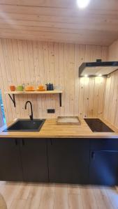 a kitchen with a sink and a counter top at Jomas & Baltic beach in Jūrmala