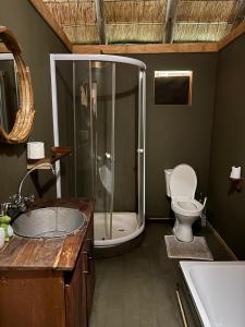 a bathroom with a shower and a toilet and a sink at Emms Cubango Ecological Camp in Divundu +70 photos