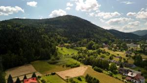 an aerial view of a village in the mountains at Blueberry in Buczkowice