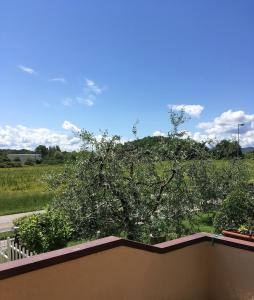 a view of a tree from the balcony of a house at Casa di Azzurra in Capolona