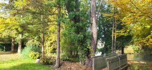 a park bench next to a river with trees at La cabane au bout du Thérain in Herchies