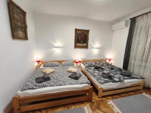 two twin beds in a bedroom with two lamps at Toldi 5 Apartman in Pécs