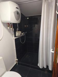 a bathroom with a shower and a toilet at "La Aurel" Mahmudia in Mahmudia +28 photos