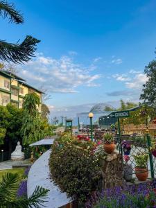 a garden with plants and flowers in a park at The Garden Courtyard in Kalimpong