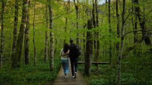 a man and woman walking down a wooden path in the woods at Wulfenia Hotel & Spa in Kolašin