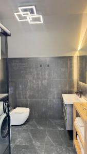 a bathroom with a toilet and a sink at Mountain soul hub будиночок на схилі in Krasnik