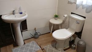 a bathroom with a toilet and a sink at Wanderlust Bergville in Bergville