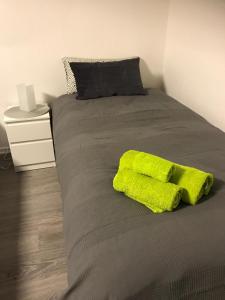 a bed with a green blanket on top of it at Easy Stay Monteurswohnung in Geislingen an der Steige