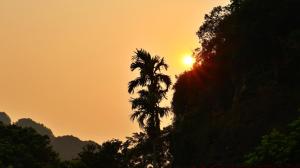 a palm tree in front of a sunset at Trang An Pristine View Homestay in Ninh Binh +80 photos