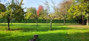a field of grass with trees and a fence at La cabane au bout du Thérain in Herchies