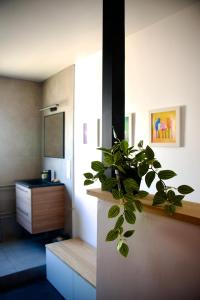a potted plant sitting on a counter in a bathroom at Le Jardin des Copains in Canet