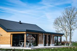 a house with a black roof and windows at De Tulpenhoeve in Spakenburg