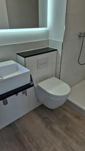 a bathroom with a white toilet and a sink at PONTUS Ferienwohnung FeWo2 in Zislow