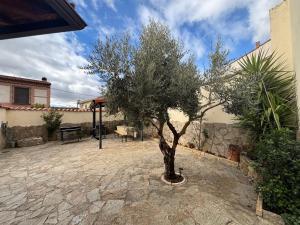 a tree in a courtyard next to a building at Casa Rural Villa Ribatejada in Ribatejada