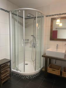 a bathroom with a shower and a sink at Haus Janne in Zell an der Mosel +16 photos