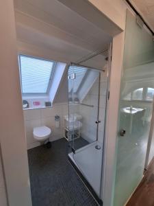 a bathroom with a shower and a sink and a toilet at Ferienwohnung Jule in Grenzach-Wyhlen +27 photos