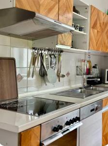 a kitchen with a sink and a stove top oven at Rax Panorama Apartment in Arzbach +11 photos