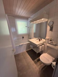 a bathroom with a toilet and a sink and a mirror at Lake Park Apartment in Interlaken +23 photos
