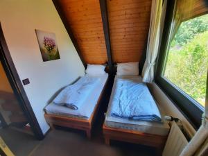 two beds in a room with a window at Ferienhaus Winnetou 114 in Waldbrunn