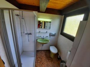 a bathroom with a shower and a sink and a toilet at Ferienhaus Winnetou 114 in Waldbrunn +12 photos