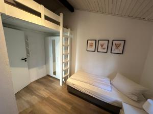 a bedroom with a bunk bed and a ladder at Ferienhaus Gartenglück in Waldbrunn +12 photos