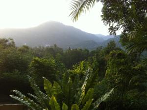 Galeriebild der Unterkunft Witherspoon Lodge in Kandy