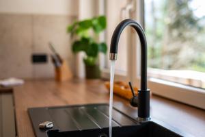 a kitchen sink with a faucet with water coming out at Alpine Daffodil Retreat in Jesenice +72 photos