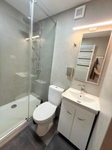 a bathroom with a toilet and a sink and a shower at Hostel Chisinau Centru in Chişinău +15 photos