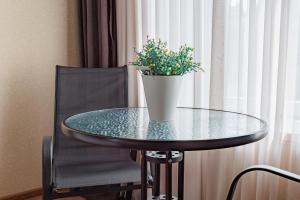 a glass table with a potted plant on top of it at City Heart Hotel in Tbilisi City