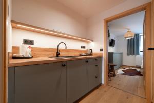 a kitchen with a sink and a counter top at Hamr Divci Kamen in Křemže +150 photos