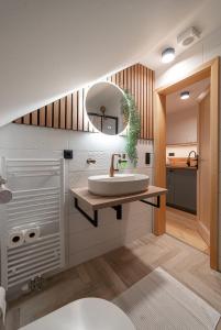 a bathroom with a sink and a mirror at Hamr Divci Kamen in Křemže