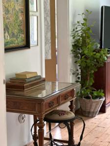 a wooden table with a glass top and a plant at Rax Panorama Apartment in Arzbach