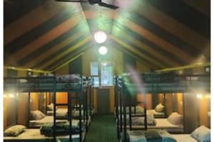 a room with several bunk beds in it at Thrillomania Kasol in Kasol