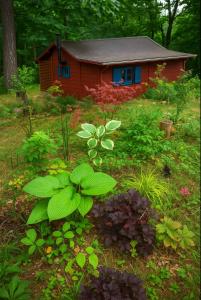 a garden with a small house in the background at Chalet Le Puy Papillon in Servières-le-Château
