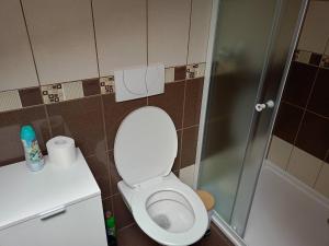 a small bathroom with a toilet and a shower at Ubytování v RV in Teplice nad Metují