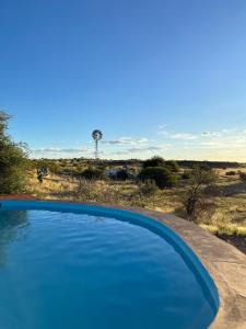 a blue swimming pool in the middle of the desert at Boscia African Farm in Omomas