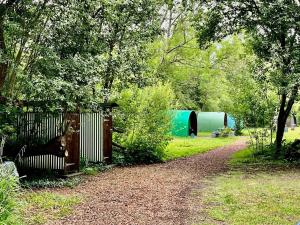 a garden with a fence and trees and a path at Daisy in Battle +5 photos