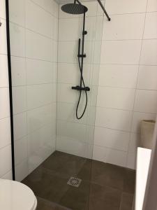 a bathroom with a shower with a toilet at Hamiltonhuis in Dedemsvaart