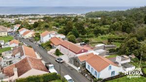 an aerial view of a small town with houses at O Palheiro in Biscoitos