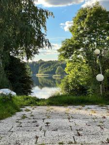 a road with a view of a lake and trees at Große Terrassenwohnung mit Seeblick in Stechlin
