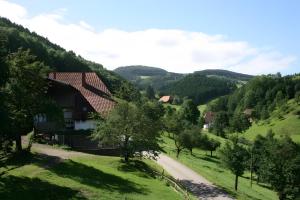 a house on a hill in a green valley at Geigerseppleshof in Mühlenbach