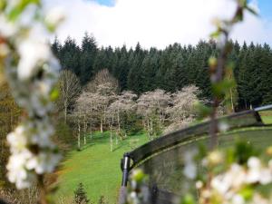 a view of a field with trees in the background at Bühlbauernhof in Bad Peterstal-Griesbach