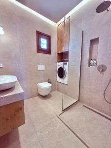 a bathroom with a shower and a toilet and a sink at Enosis Apartments - Kalypso Beach Flat in Agia Anna Naxos