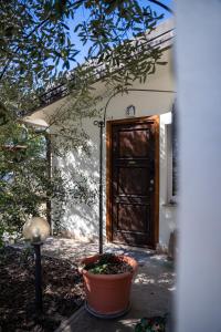 a door to a house with a plant in a pot at Villino Ca' Bianca, vicino ad Alba, NO ZANZARE, accessibile e con sollevatori aerei in Monteu Roero