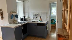 a kitchen with a sink and a counter top at Villa Fichteneck in Oberhof +13 photos
